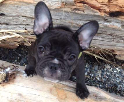 67493_10151456996287990_1274342685_n