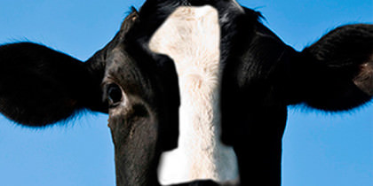 Hydrogen’s 12 Days of Giving