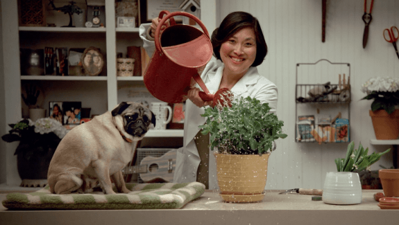 Screen Shot 2015-06-12 at 9.58.15 AM